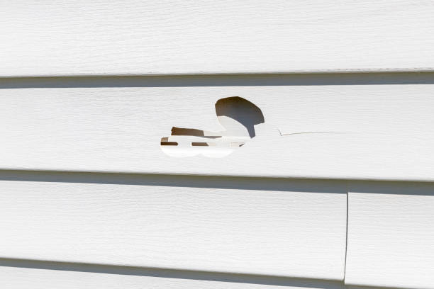 Best Storm Damage Siding Repair  in Lincoln, MT